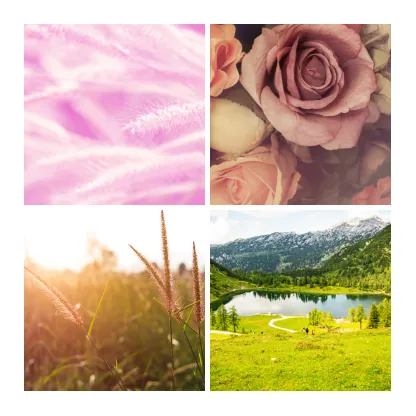 Canvas print wall displays - Package 5